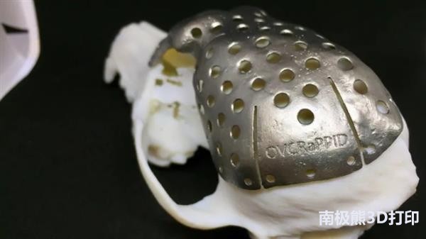 ontario-researchers-3d-print-titanium-skull-cap-for-dog-with-cancer-1.jpg