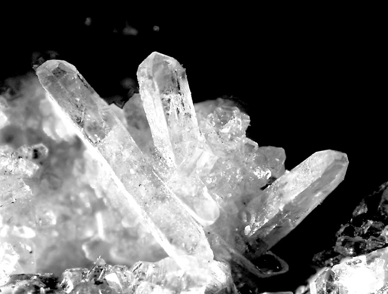 ȥ꣬ɽʽϡ۸񼫴سйгͶ˲Ʒʣ߶˲Ʒϡȱйг״ϡ۸𽥻عԣҵʿΪйгйǰ;